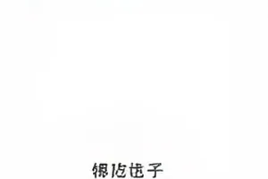 一份列有十七项支出的应援明细表，其中两项缺少凭证